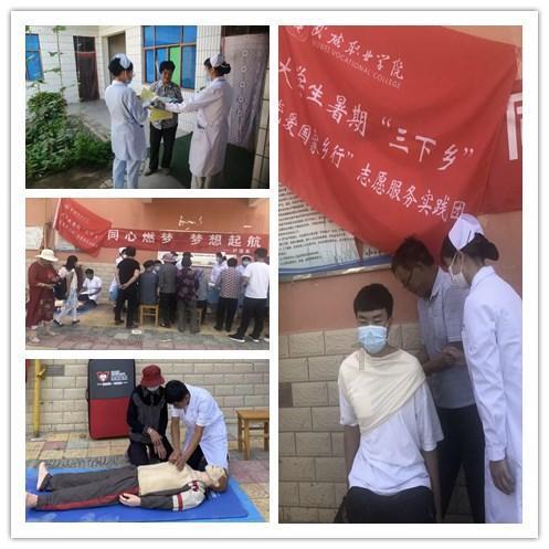 网友每天和邻居家阿拉斯加暗号接头，网友：两只单身狗的灵魂对谈