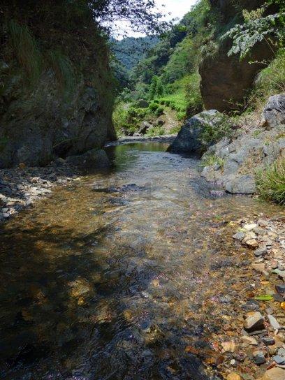 氪金借势| 7天狂赚20W+，”混圈大佬”私域流量杠杆玩法
